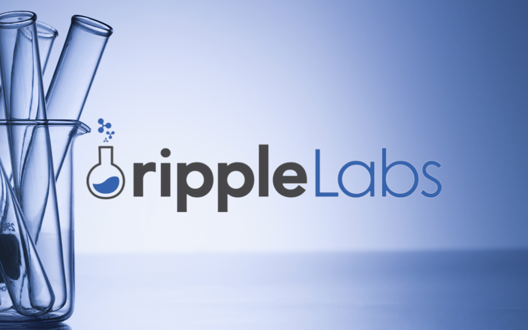 La révolution immobilière par la Tokenisation : Ripple Labs prépare le terrain